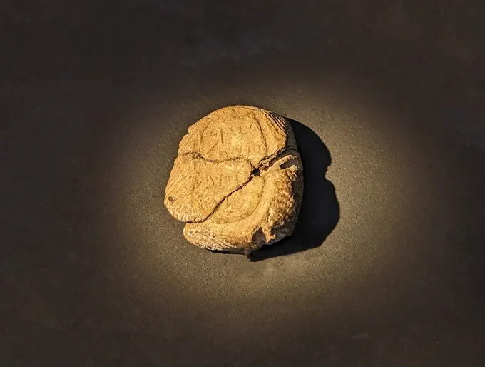 Bulla de Yehozáraj, siervo del rey Ezequías